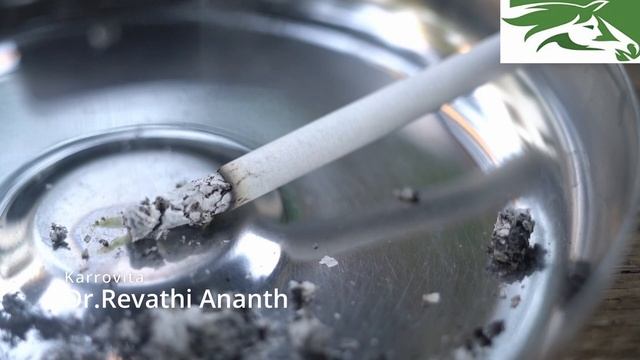 Karrovita смотреть онлайн