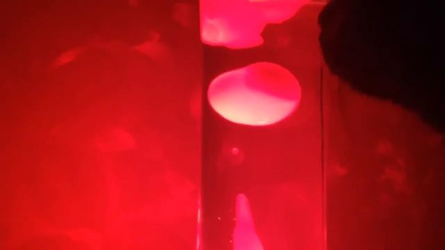 Хоум видео треш хоррор тест лол ок смотреть онлайн