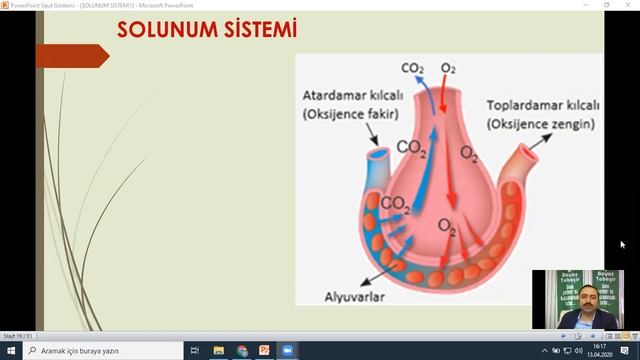 BİYOLOJİ 11 SINIF SOLUNUM KONU ANLATIMI смотреть онлайн