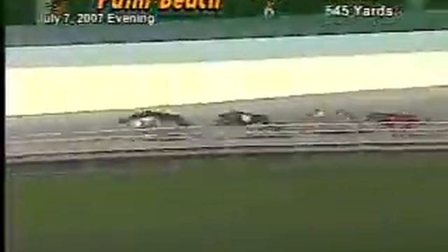 Botox Judy 5 смотреть онлайн