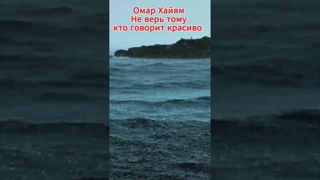 Омар Хайям. Не верь тому кто говорит красиво . #like #2024 #подписаться #видео смотреть онлайн