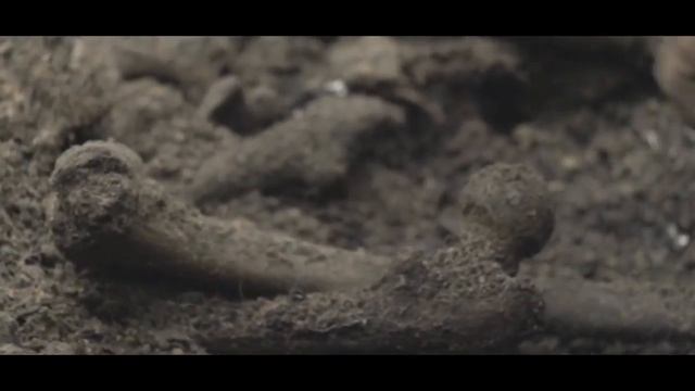 Поисковый отряд. смотреть онлайн