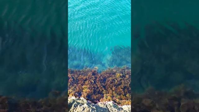 МОРЕ в КРЫМУ. Сентябрь вода супер. #крым #юбк #море #алушта смотреть онлайн