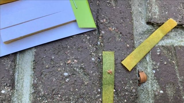 Три теста для измерения PH.Дафния.Текущее. смотреть онлайн