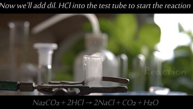 Double displacement of HCl + Na2CO3 | Lime water milky test смотреть онлайн