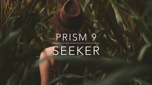 PRISM 9 - Seeker смотреть онлайн