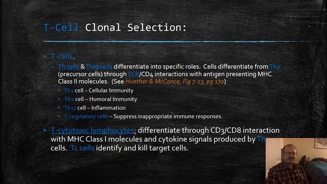 Adaptive Immunity Presentation Recovered смотреть онлайн
