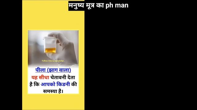 Swasthya Manushya Mutra ka PH❗//😲 #shortvideo #facebook #gkinhindi смотреть онлайн