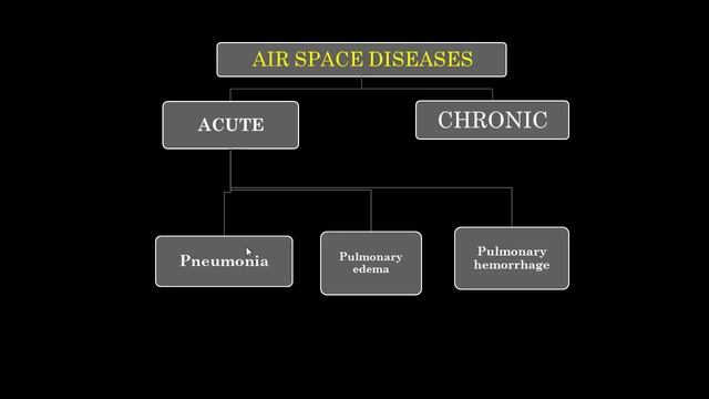 Chest X ray interpretation Part1..DR. AMR SAADAWY смотреть онлайн