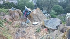 В мире снюсоедов#1(неоновый снюсоед)