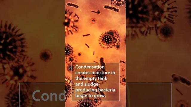 How to Prepare Your Heating Oil Tank for Spring смотреть онлайн