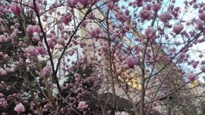 Алекс Брежнев.Анечка спалилась в комментах.Брежнев стал скрытным и закрылся от своих зрителей