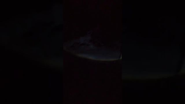 Охота ВСЛ Луша ,сходили размяться.