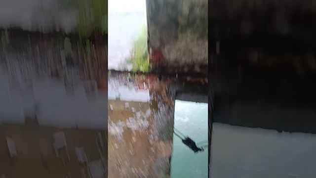 Холостой сброс воды на заброшенной ГЭС #гэс #бтс #крипта #майнинг #река смотреть онлайн