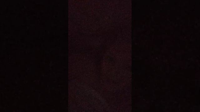 пп смотреть онлайн