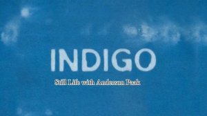 INDIGO RM (Kim Namjoon)- Album Indigo
