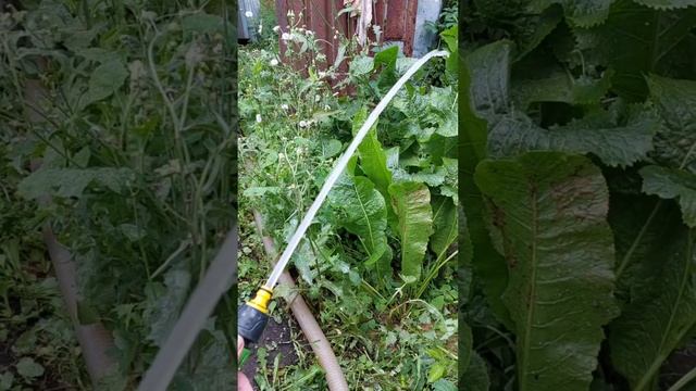 Скважина 27м с хорошей водой смотреть онлайн