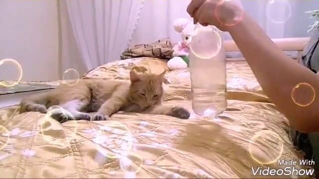 бутылка воды челендж смотреть онлайн