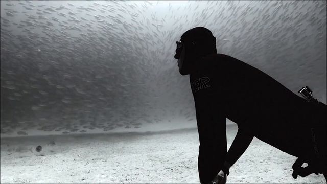 What a Wonderful World by Miguel Lozano - Freediving - Apnea | Omer смотреть онлайн