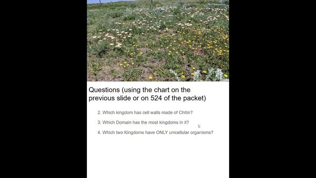 Finding Order in Diversity Google Slides Google Chrome 2020 03 30 00 37 39 смотреть онлайн