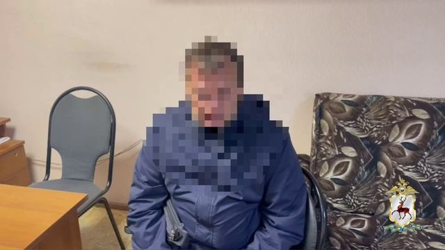 Сотрудники нижегородской ГАИ установили личность водителя, сбившего ребенка на пешеходном переходе смотреть онлайн