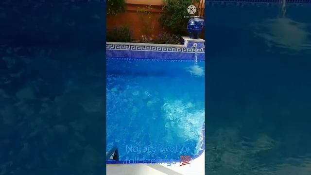 craetive swimming pool ideas @home with natural sound смотреть онлайн