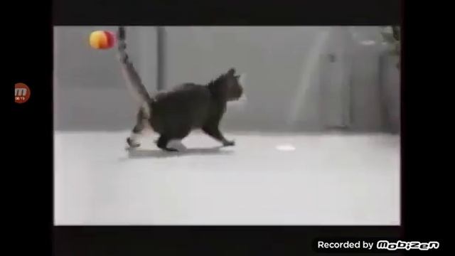 китикет реклама 2014 смотреть онлайн