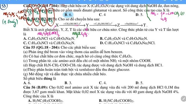 HÓA 12, CHƯƠNG 3: TRẮC NGHIỆM LÝ THUYẾT AMINOAXIT 5 ( mức vận dụng) (XẤP TTB) смотреть онлайн
