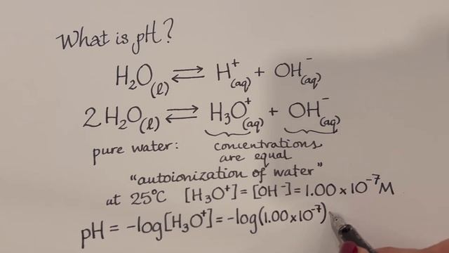 Professor explains pH (soft spoken ASMR) смотреть онлайн
