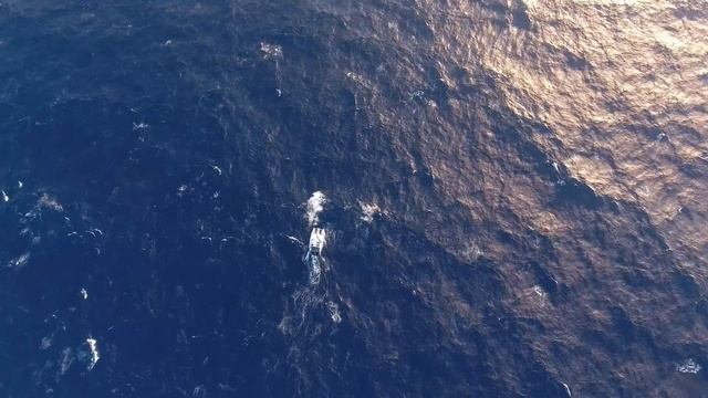 Caught in a Horrible Storm смотреть онлайн