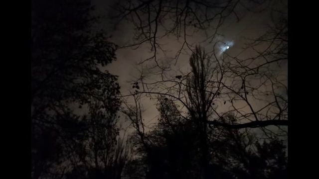 TAMINO - INDIGO NIGHT (special version) 1 HOUR LOOP смотреть онлайн