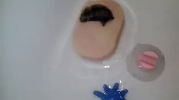 Мимимишный хомячок плавает в бассейне