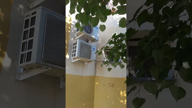 ВОРОБЬИ ПЬЮТ ВОДУ ИЗ КОНДИЦИОНЕРА!!! смотреть онлайн