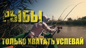 РЫБАЛКА в АСТРАХАНИ. ПОКЛЕВКИ аж удочки летят с ЛОДКИ. ФОМИН БАНК