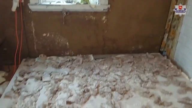 Mocne uderzenie w narkobiznes. Lubelscy policjanci zatrzymali w sumie sześć osób смотреть онлайн