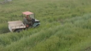 Летние испытания вездехода-караката на рессорах (+ заплыв на мелководье).