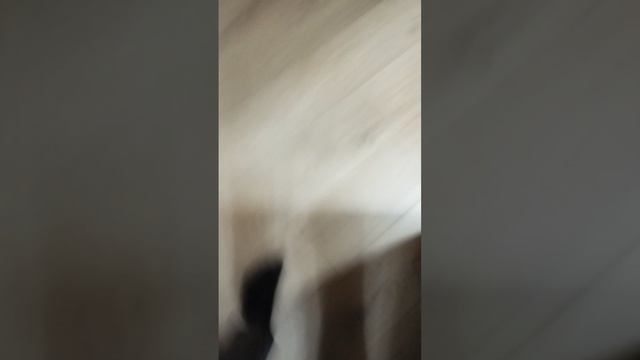 Ты фонарика боишься?