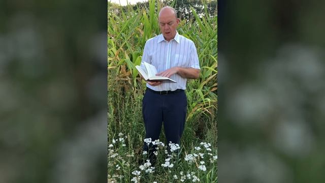 Millefolium (English) смотреть онлайн