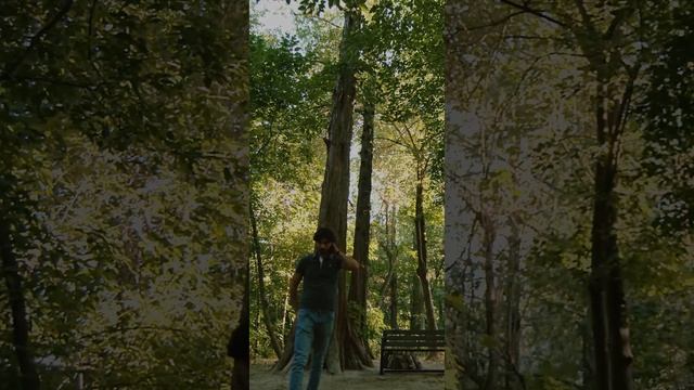 Benom Guruhi - Yuragim | Беном гурухи - Юрагим #UydaQoling