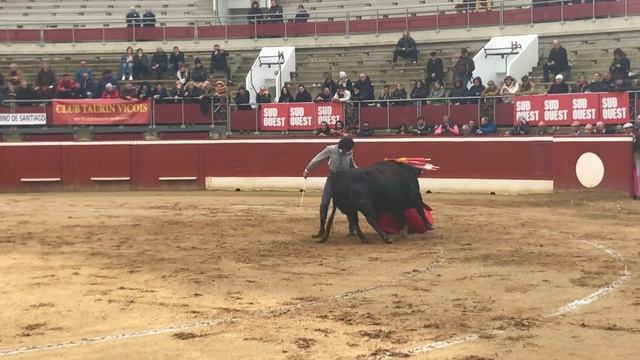 Un grand festival pour les 50 ans du Cercle taurin Montois смотреть онлайн