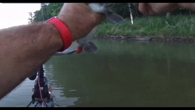 Fishing at Patoka Lake IN, 2022 смотреть онлайн