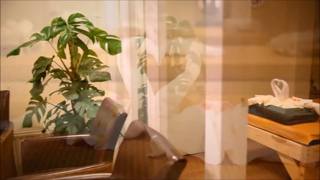 Siam Spa & Thai massage Haarlem смотреть онлайн