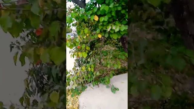 25 сентября 2024 г. смотреть онлайн