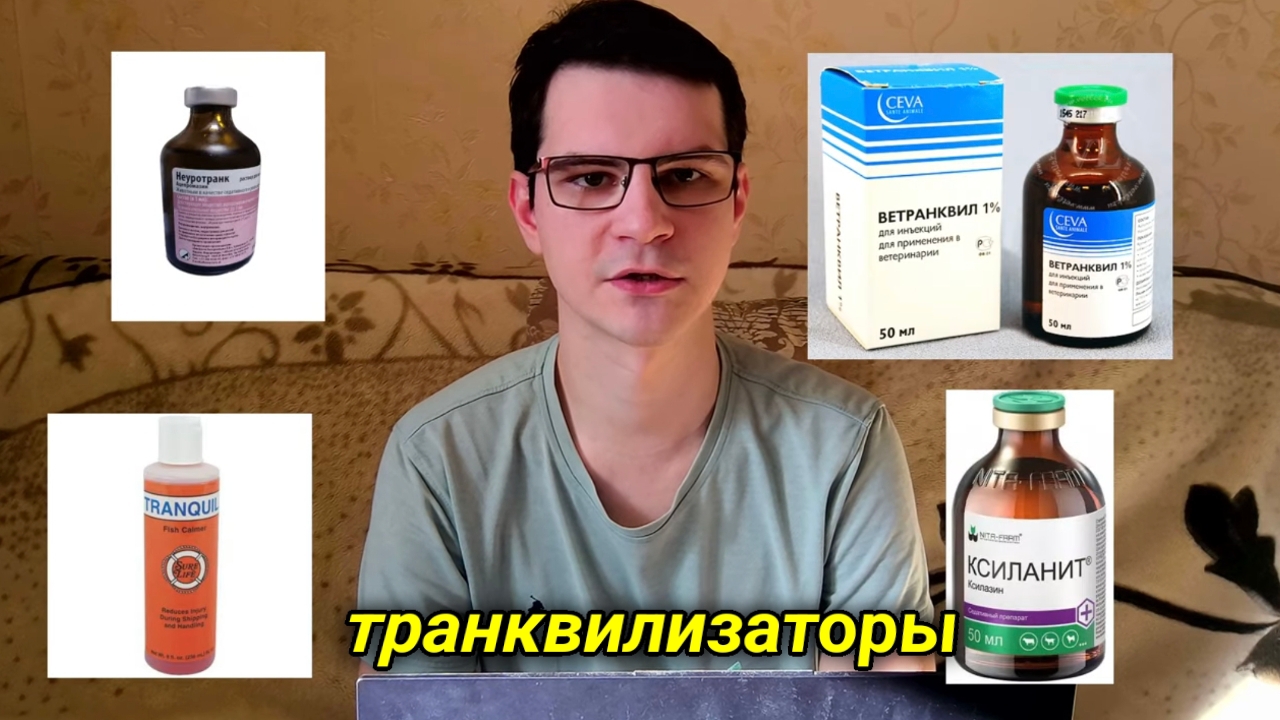 Эксперимент седации аквариумных рыбок смотреть онлайн