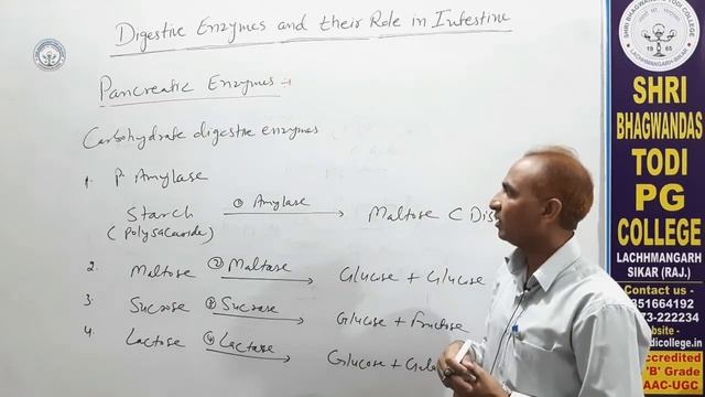 B.Sc.2nd Year|Zoology|Digestive Enzyme (Digestive System)|Gulshan Verma|Shri BhagwanDas Todi Colleg смотреть онлайн