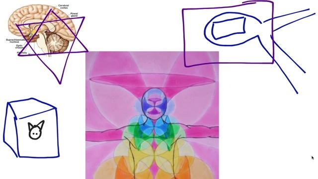FLYING RAINBOW LASAGNE Love Story Between Violet & Indigo Chakras pt 2/2 смотреть онлайн