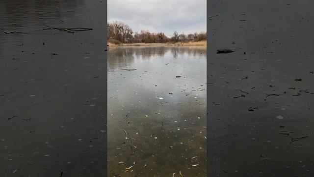 Отчет о состоянии льда на 05.12.23 🎣 #spinning #fishing #рибалкавукраїні #рыбалка #traveling смотреть онлайн