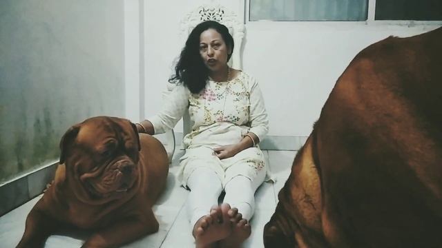 Dog Skin Problems | Reason | Cure | Anupma Pandey смотреть онлайн
