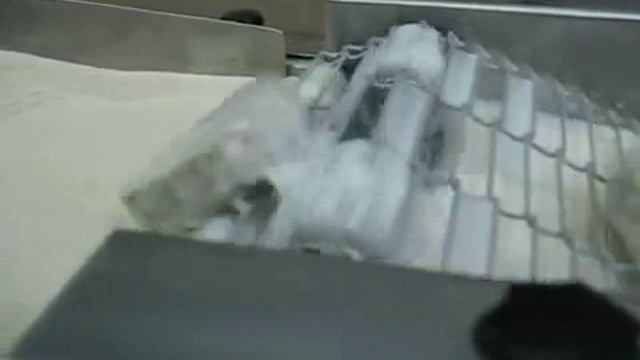 Испытание панировочной машины ИПКС-130(Н) на натуральном сырье