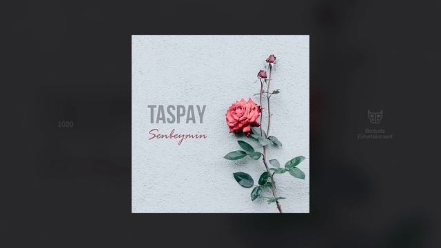 Taspay - Senbeymin (Official Audio) смотреть онлайн